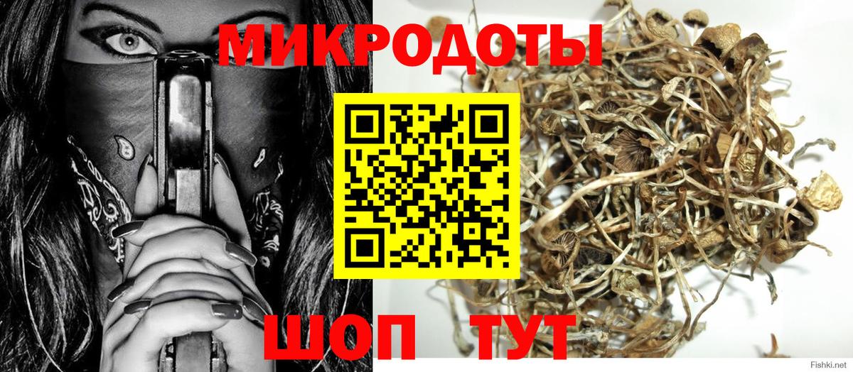 закладки  Галлюциногенные грибы Cubensis  Вход с VPN  Подольск 