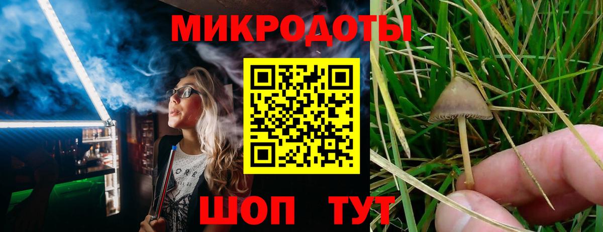 Псилоцибиновые грибы Cubensis Подольск